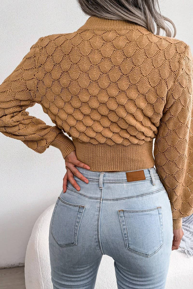 Women Scales Pattern Knitted High Neck Sweater