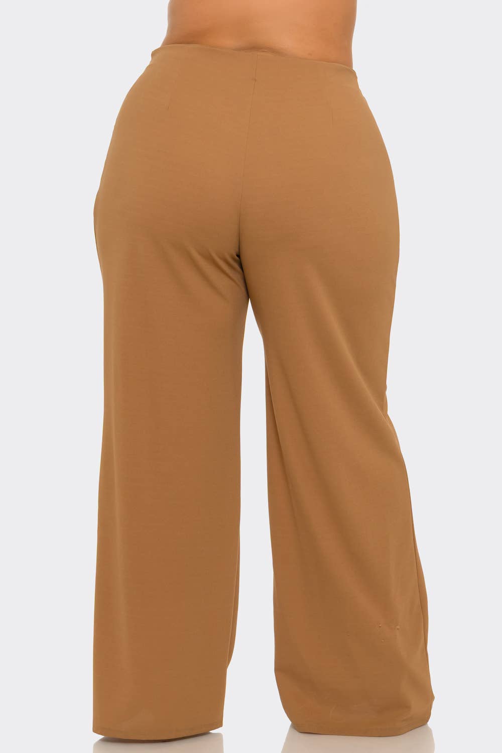 Plus Size Front Pleated Side Zipper Wide Leg Pants